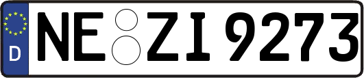 NE-ZI9273