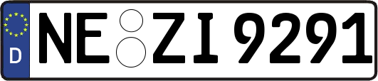 NE-ZI9291
