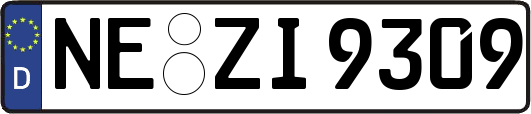 NE-ZI9309