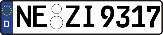 NE-ZI9317