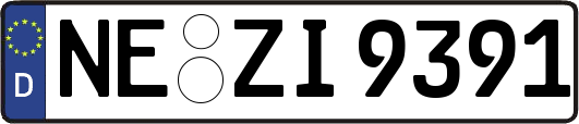 NE-ZI9391