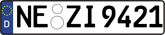 NE-ZI9421