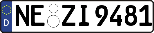NE-ZI9481