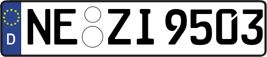 NE-ZI9503