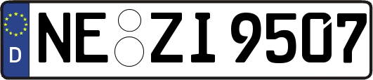 NE-ZI9507