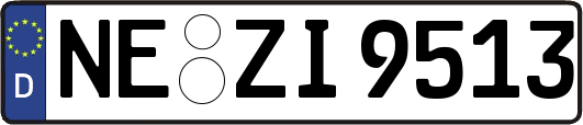 NE-ZI9513