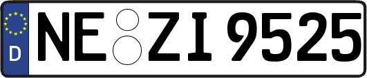 NE-ZI9525