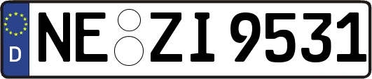 NE-ZI9531