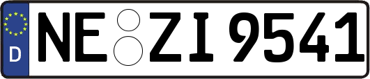 NE-ZI9541
