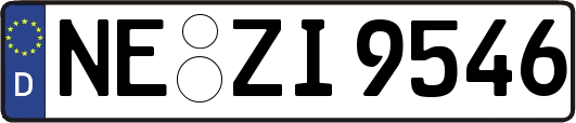NE-ZI9546