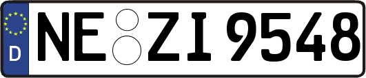 NE-ZI9548