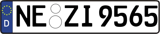 NE-ZI9565