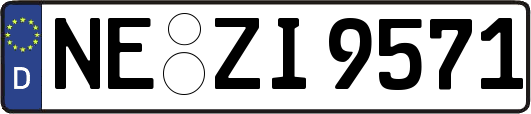 NE-ZI9571