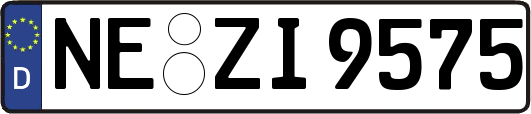 NE-ZI9575