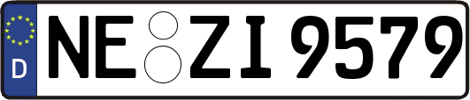 NE-ZI9579