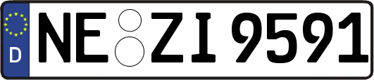 NE-ZI9591