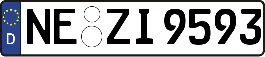 NE-ZI9593