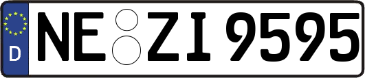 NE-ZI9595