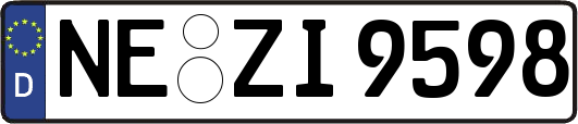NE-ZI9598