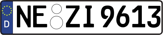 NE-ZI9613