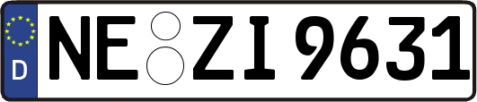 NE-ZI9631