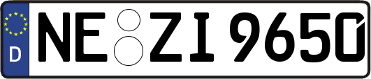 NE-ZI9650