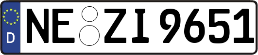 NE-ZI9651