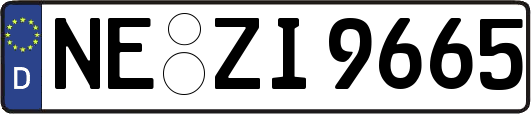 NE-ZI9665