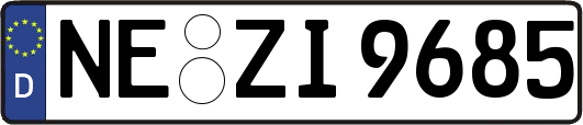 NE-ZI9685