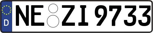 NE-ZI9733