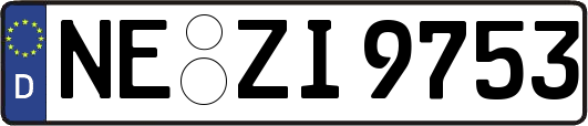 NE-ZI9753