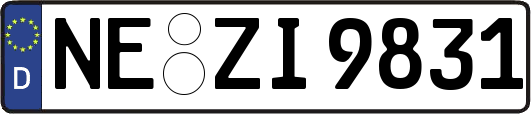 NE-ZI9831