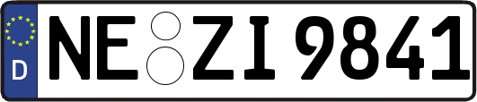 NE-ZI9841