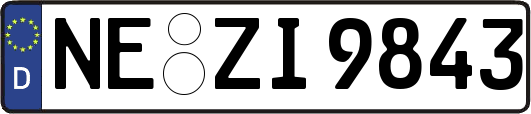 NE-ZI9843