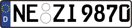 NE-ZI9870