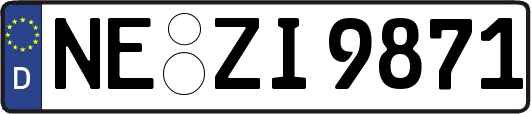 NE-ZI9871