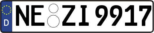 NE-ZI9917