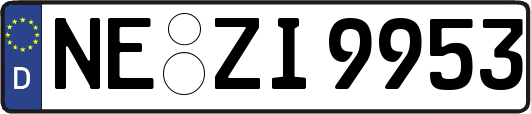 NE-ZI9953