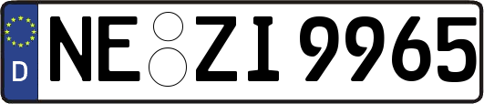 NE-ZI9965