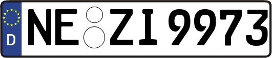 NE-ZI9973