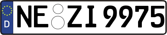NE-ZI9975