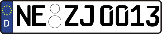 NE-ZJ0013