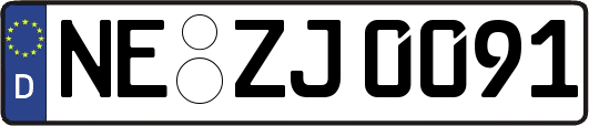 NE-ZJ0091