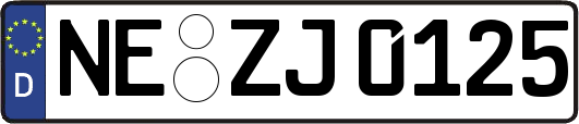NE-ZJ0125