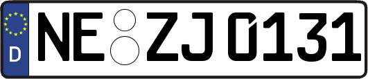 NE-ZJ0131