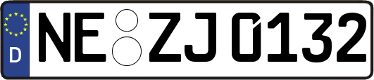 NE-ZJ0132