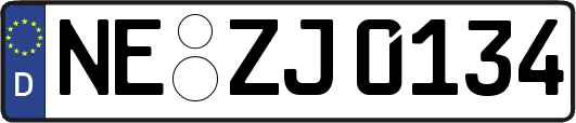 NE-ZJ0134