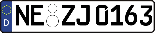 NE-ZJ0163