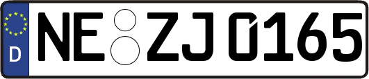 NE-ZJ0165