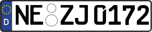 NE-ZJ0172